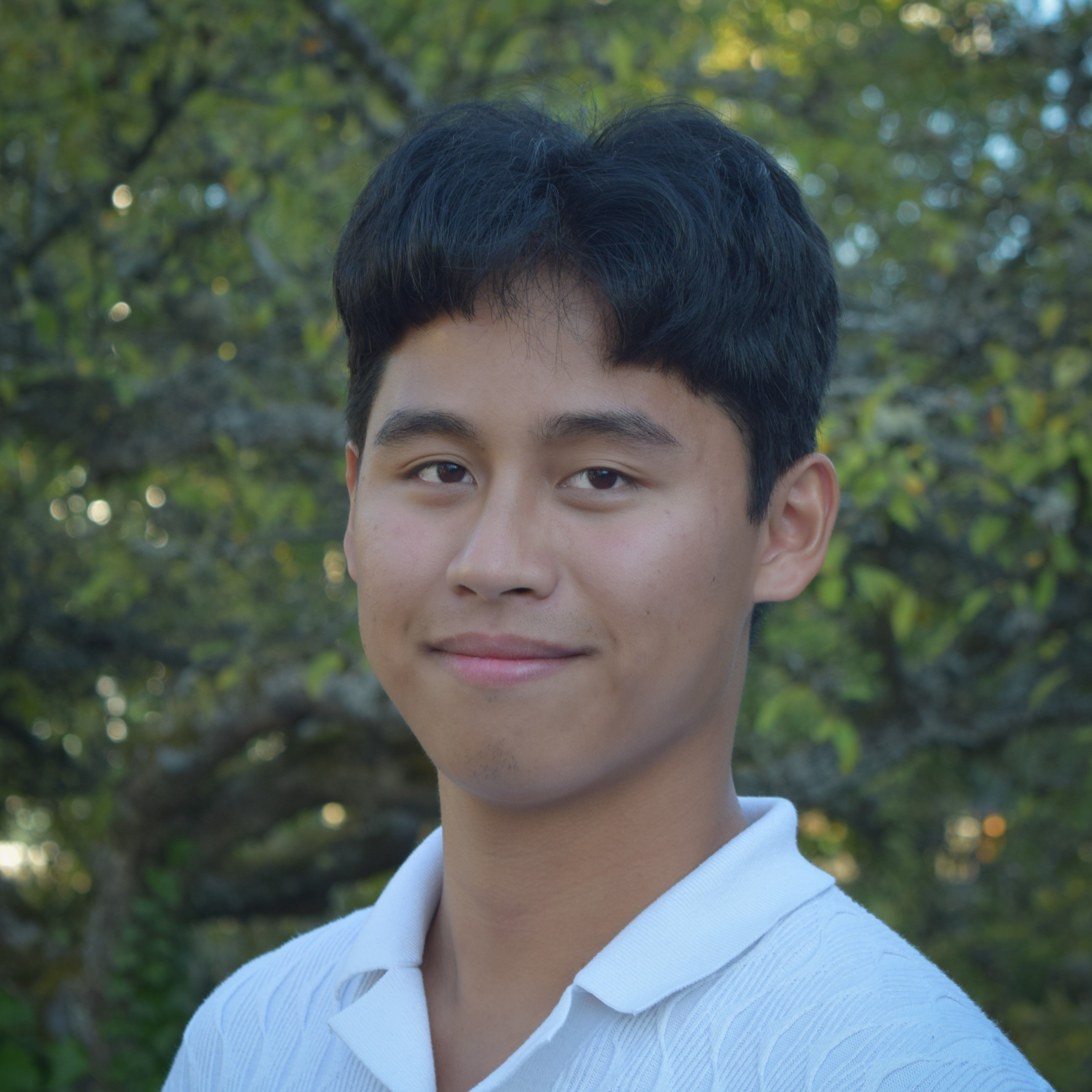 Photo of Francis